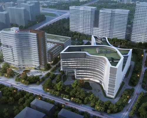 长沙供卵三代试管费用揭秘：养囊送检及成功率解析